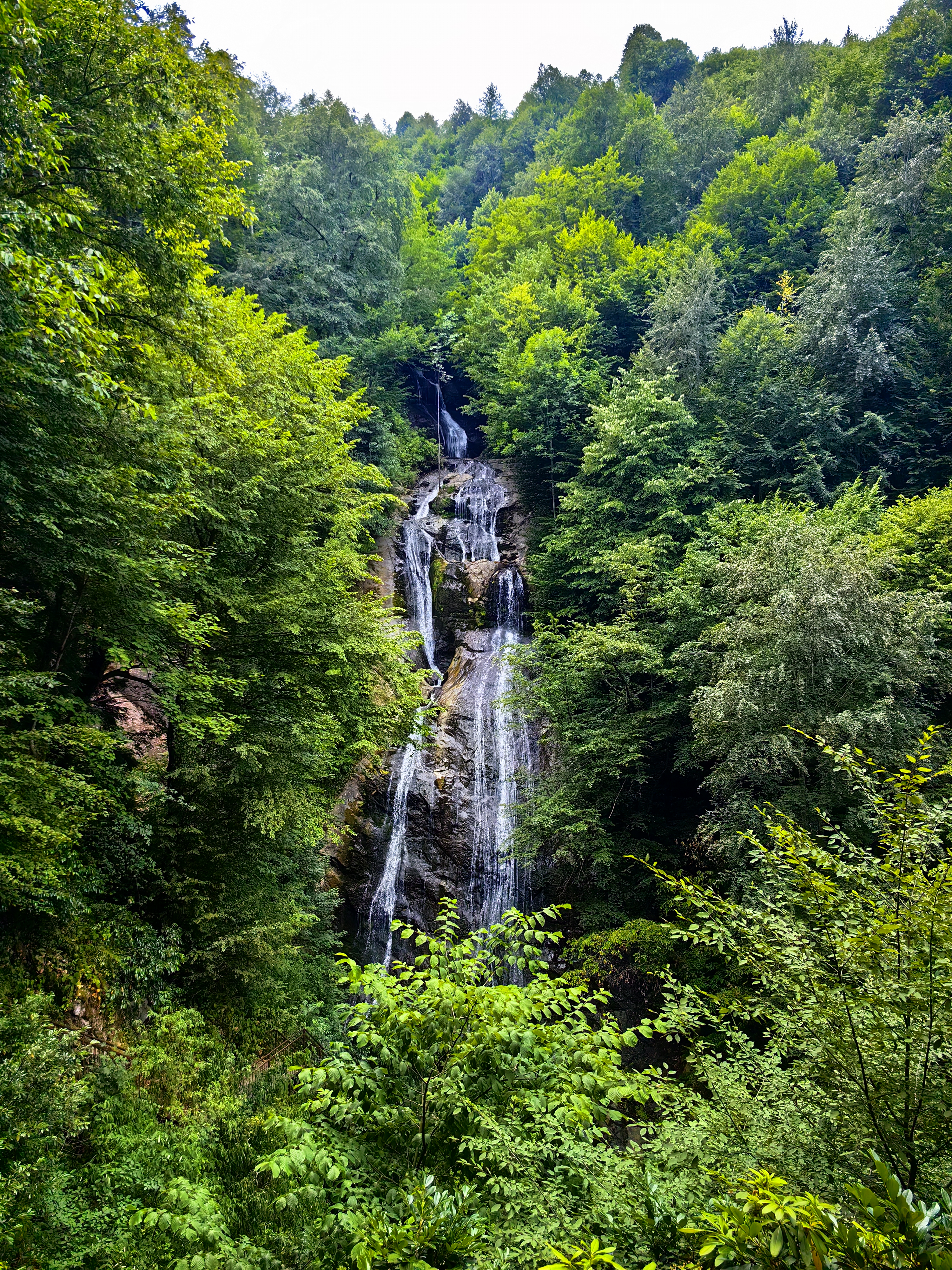 Hypium’da Mindfulness Tatili: Ormanda Meditasyon &