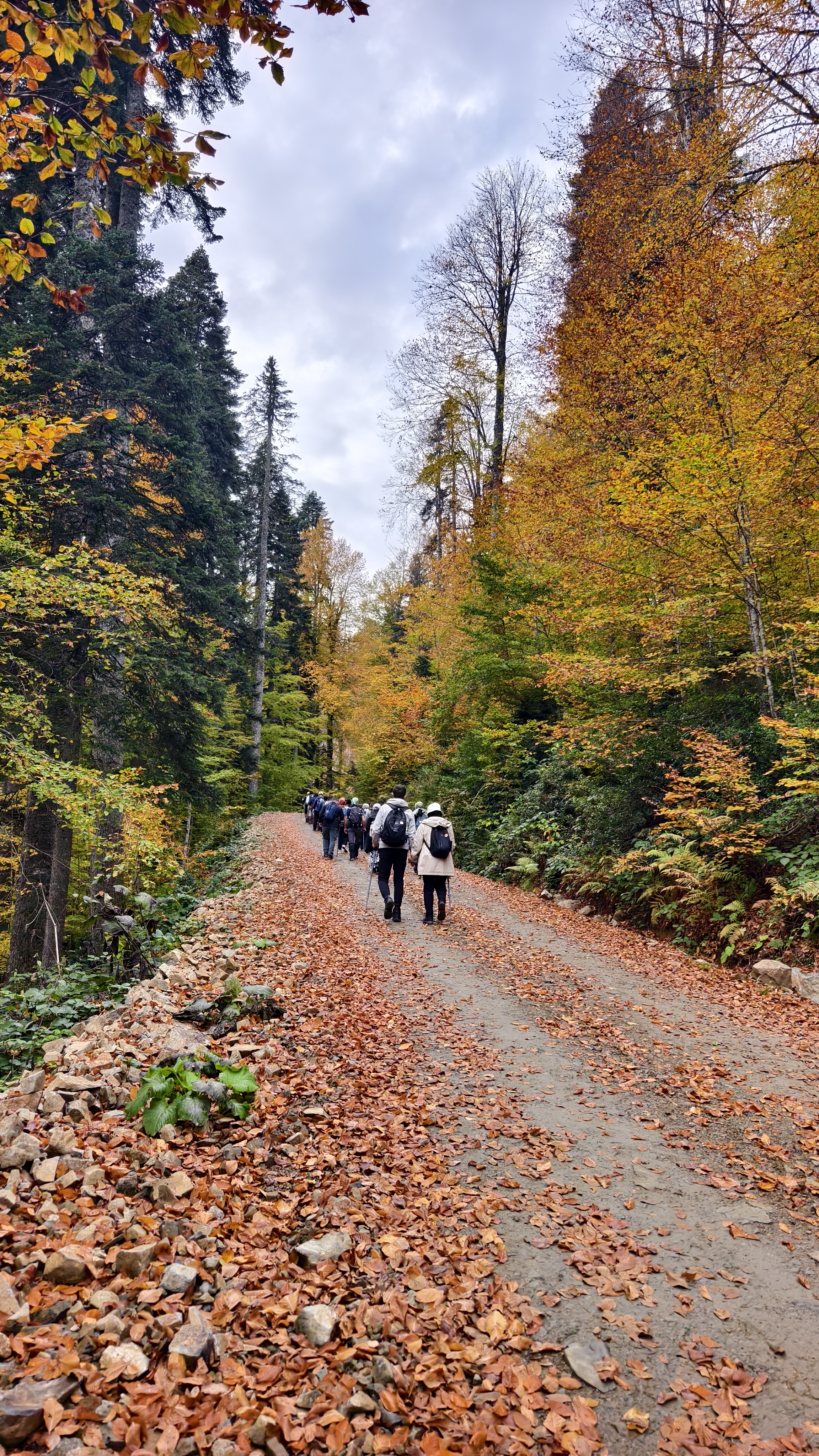 Trekking Rotaları: Yedigöller’den Kardüz’e