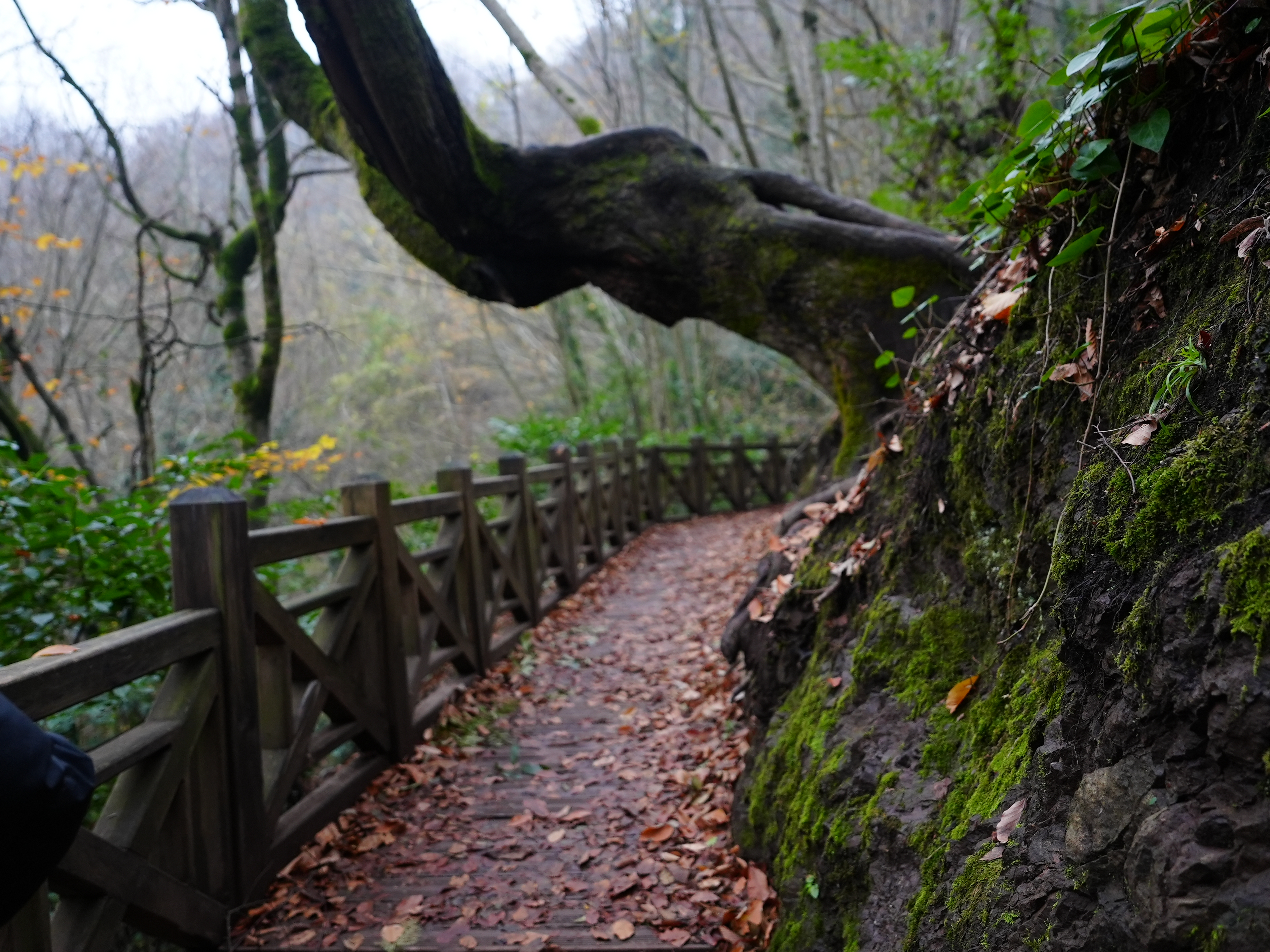 Okul Ara Tatilinde Aile Programı: 48 Saatlik Plan